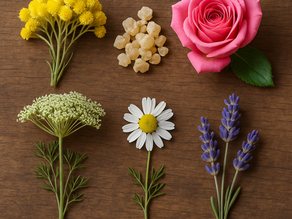 Essential Oils for Cellular Repair & Regeneration