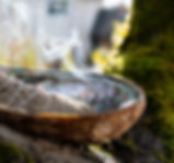 A bundle of sage used for smudging sitting in a bowl as it smoulders.