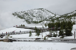 Yellowstone National Park