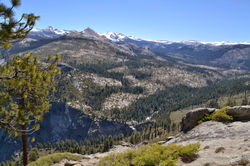 DSC_0650.JPG