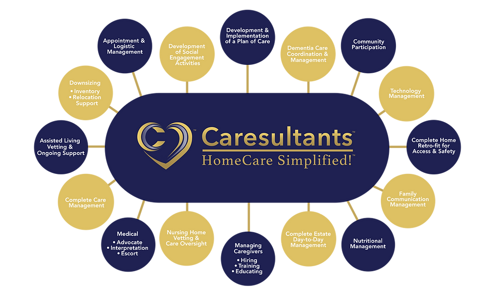 Caresultants Services infographic