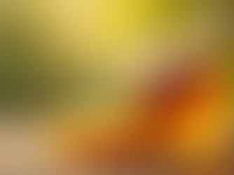 Understanding Neem Honey Pricing Factors: What Shapes the Cost of This Natural Treasure