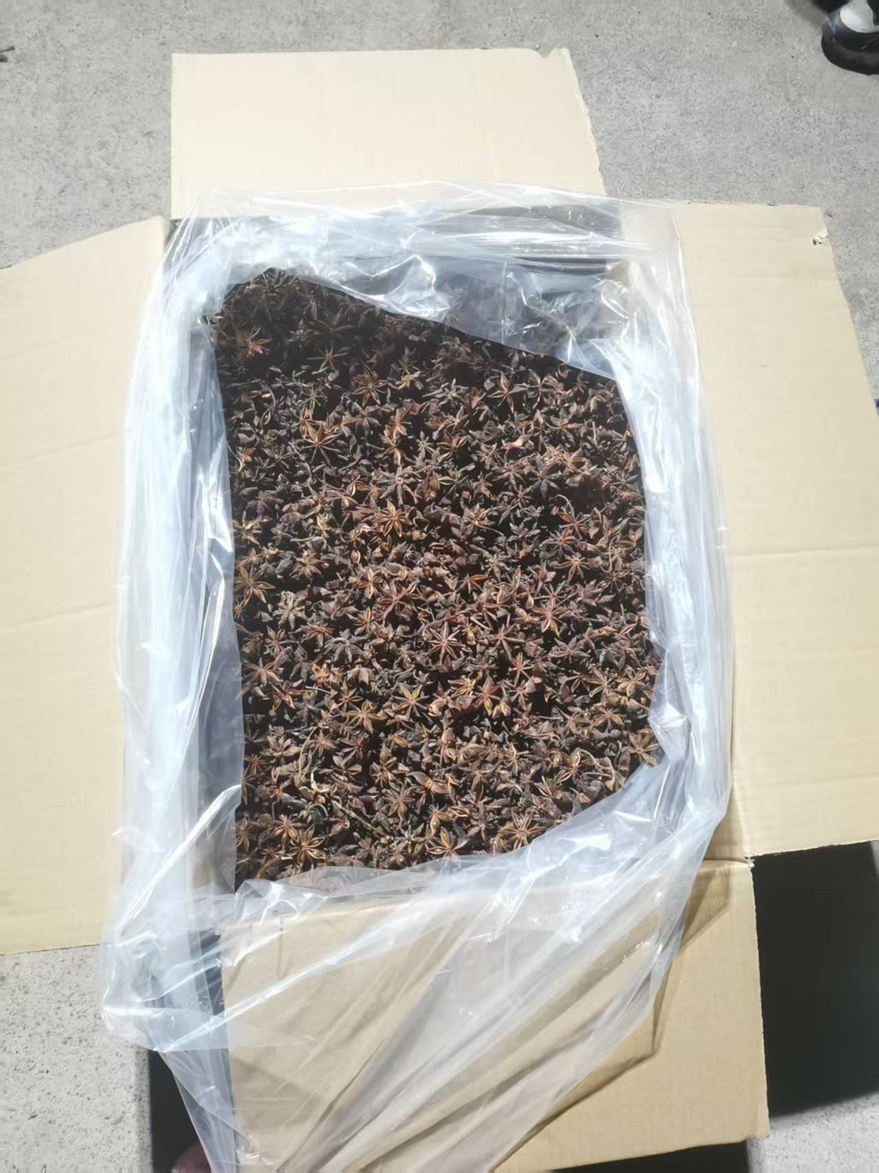 微信图片_20250423180659