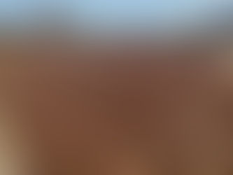 Gulong star anise production site