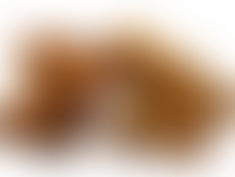 Differences between Chinese cinnamon and Ceylon cinnamon 