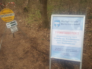 Waldpflege am Liechtenstein