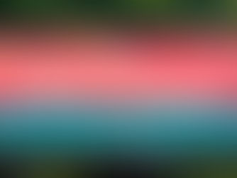 Volksbefragung EKZ Südstadt: 90% JA