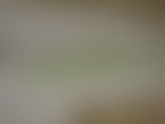 Informationsveranstaltung „Am Steinriegel“