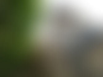 Schloss Stetteldorf und Burg Kreuzenstein – Blick um Jahrhunderte zurück