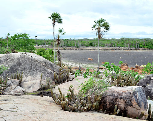 Vista para a Lagoa do Juá adjacente à Pedra do Sino - Fonte: Ana Paula Araújo
