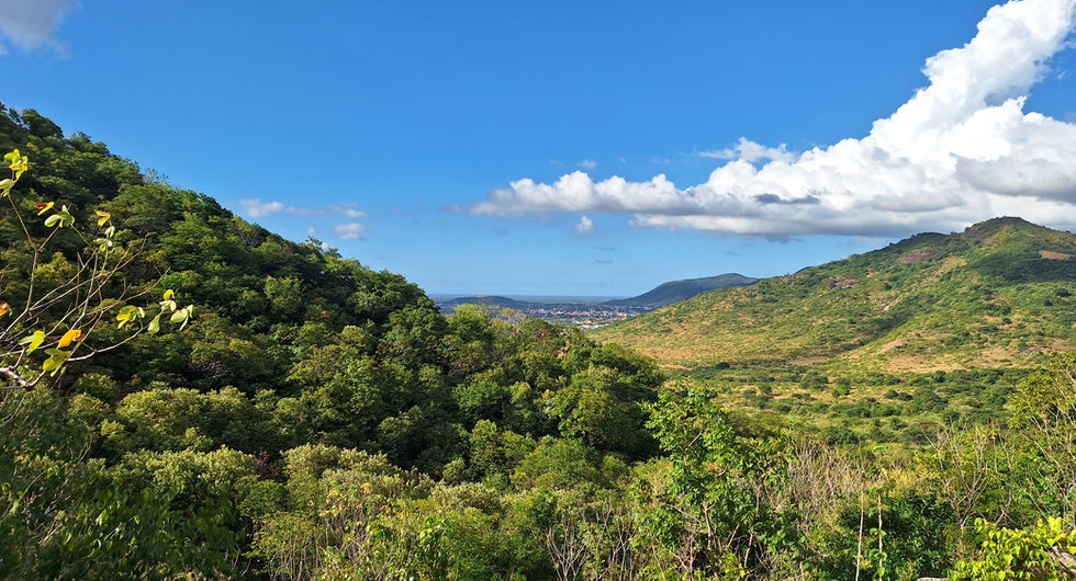 Vista desde a parte superior da Pedra Lascada - Fonte: Ricardo Matos