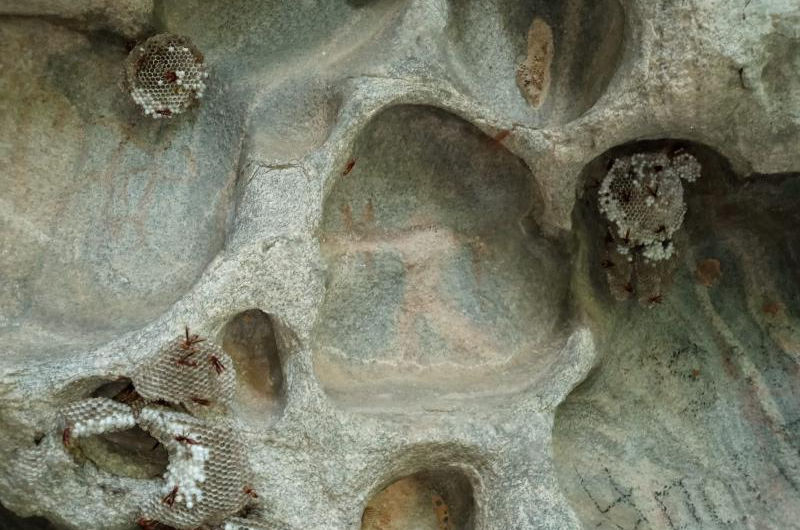 Honeycombs associados a arte rupestre - Fonte: Ricardo Matos