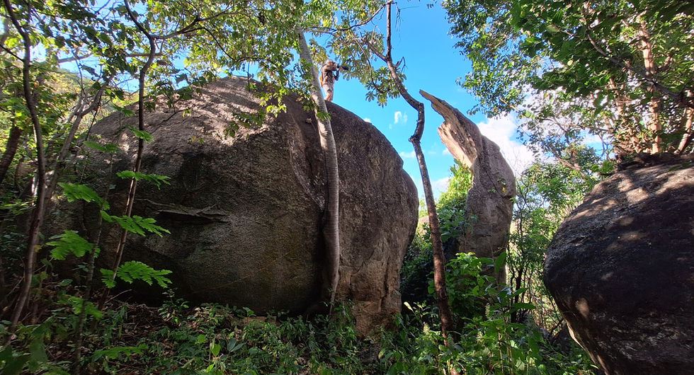 Vista para a Pedra Lascada - Fonte: Ricardo Matos
