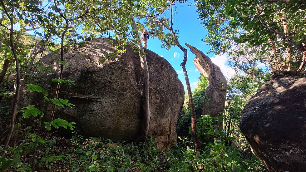 Vista para a Pedra Lascada - Fonte: Ricardo Matos