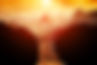Shine - Fredrick John Pugsley