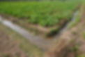 AdobeStock_1142564911.jpeg