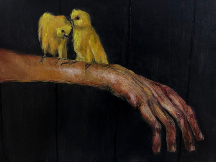 parrots papugi Paweł Sobczak Sztuka Malarstwo painting art