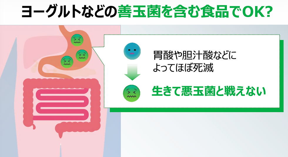 ヨーグルトなどの善玉菌を含む食品を摂ったとしても、実は多くの善玉菌は腸にたどりつく前に、胃酸や胆汁酸などによってほぼ死滅してしまうことがわかっています。
これでは生きて腸内で悪玉菌と戦うことは難しくなってしまいます。