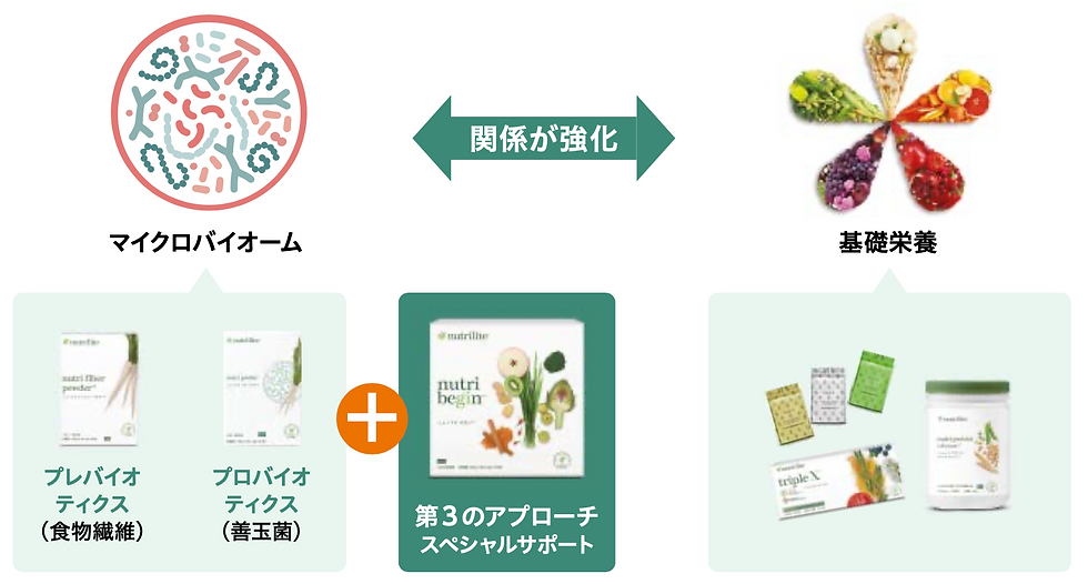 善玉菌や食物繊維と同時に摂るのがおすすめ
善玉菌やそのエサとなる食物繊維を補給するという既存の2つのアプローチを主軸としつつ、3つ目となる革新的なアプローチで、善玉菌が棲みやすい土台をサポートすることが重要です。

腸内マイクロバイオームをより良いバランスに導くスペシャルサポート製品を習慣に加えることで、基本の栄養素の吸収などのサポートにも繋がります。