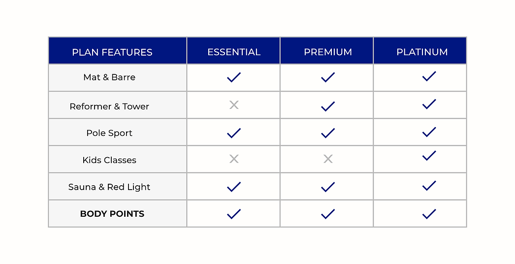 PRICING PLAN FEATURES TABLE.png