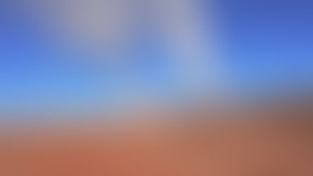 The Best Carbon Offsets for Businesses' Net Zero Goals