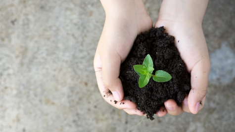 Investing for the climate: ESG funds & impact investments