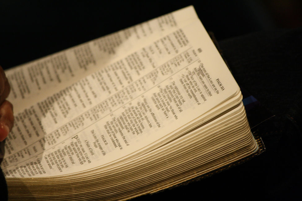 bible psalms.JPG