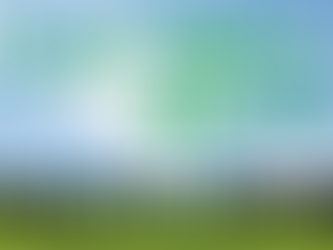 『じょうほうみどり』1月・2月合併号を公開しました