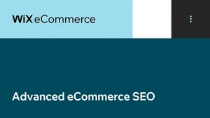 Fortgeschrittene eCommerce-SEO