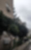 A house in Haifa