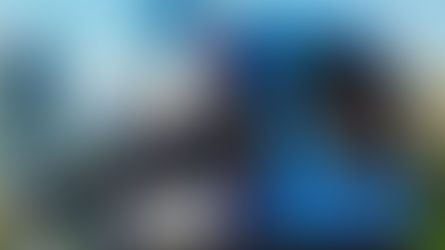 streetcar moves economic development forward