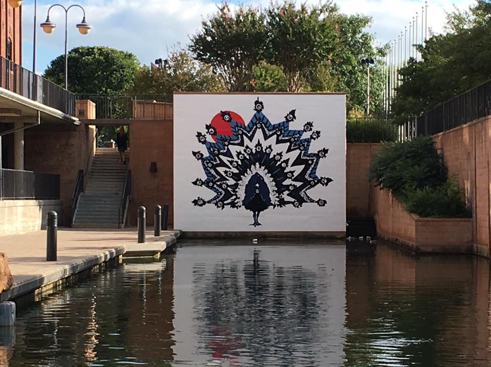 peacock.jpg