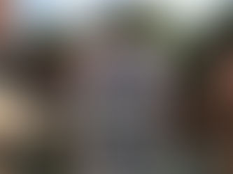 Art investments bring dividends