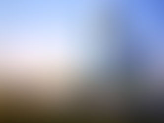 Hotel will maximize economic impact