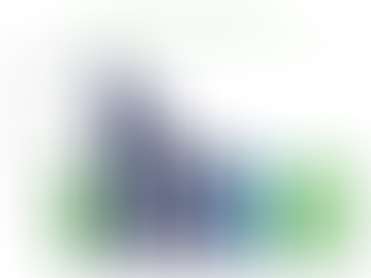 FY 2024 Annual Report