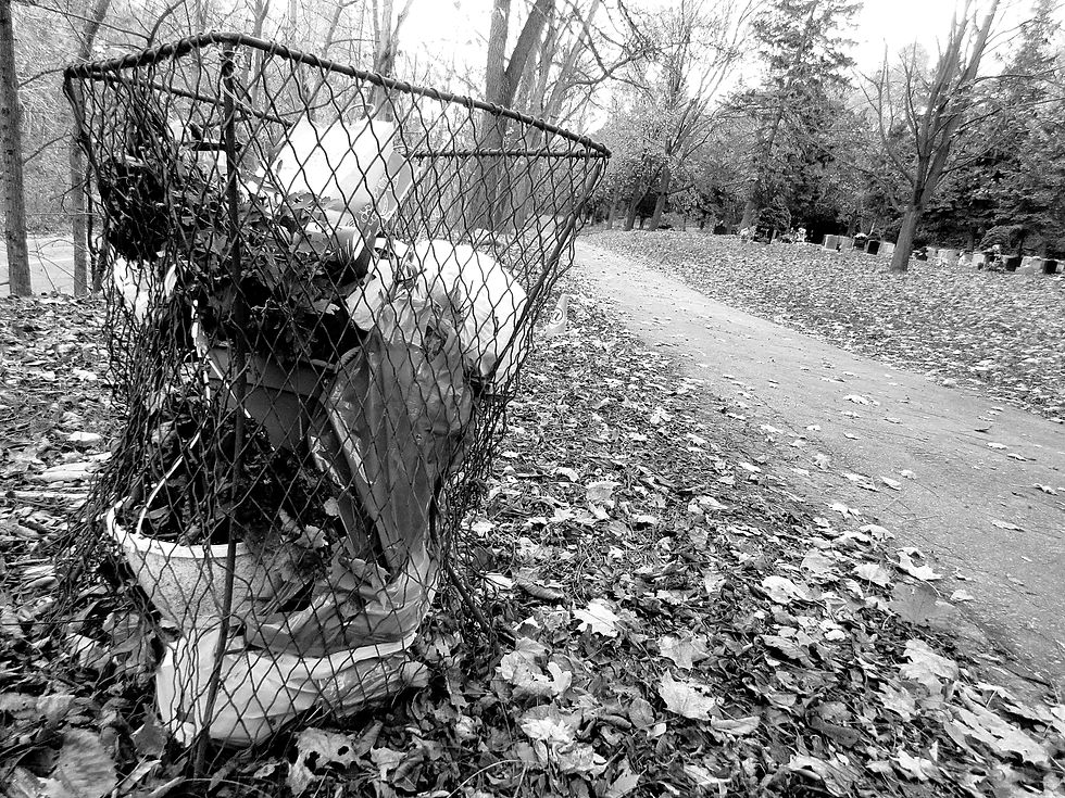 © 2015 Daniela Oana