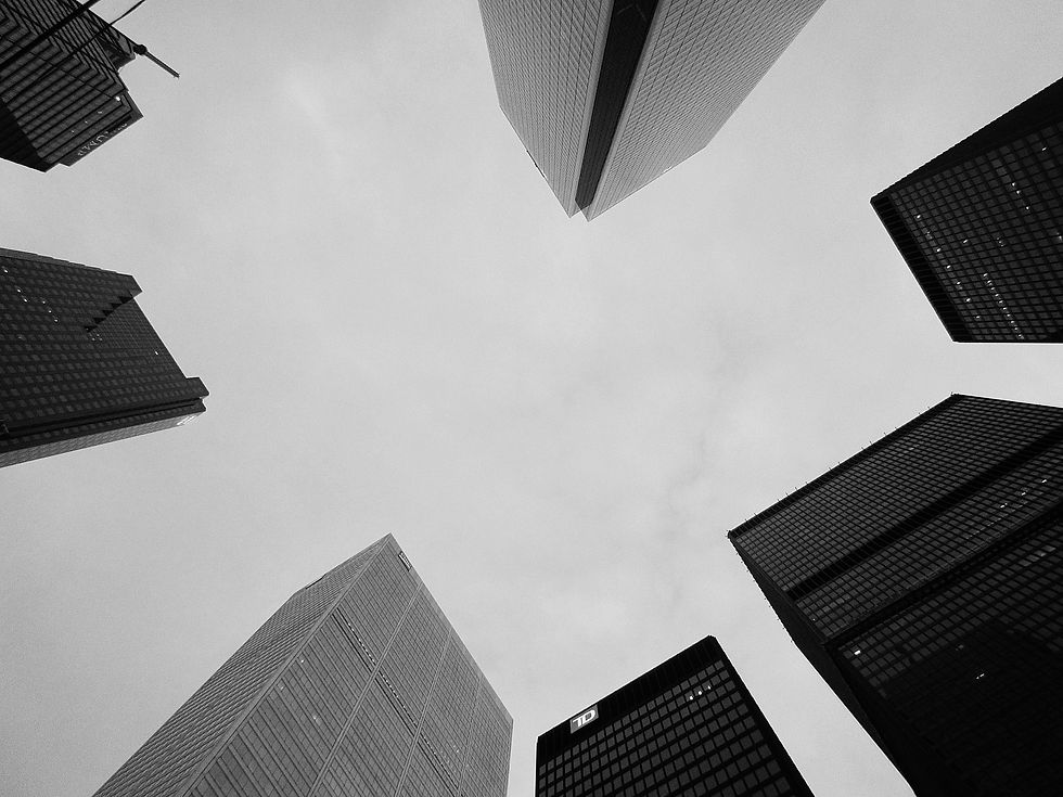 © 2015 Daniela Oana