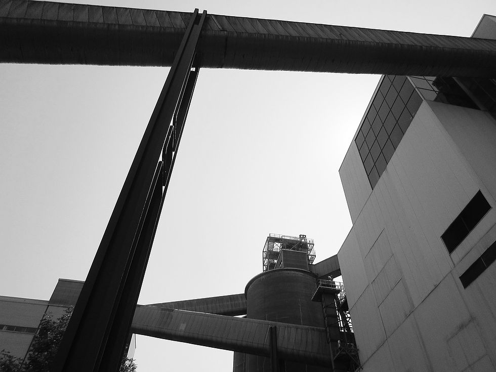 © 2015 Daniela Oana