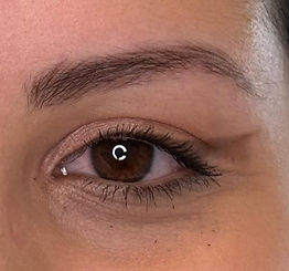 4 _ micropigmentación pelo a pelo cicatr