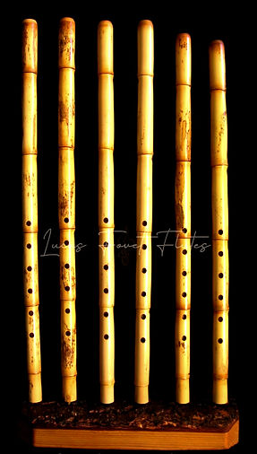 Copie de Kaval do re mi turk_20241222_12