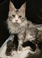 Kim vom Weinviertel.jpeg