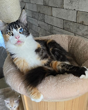 Yana vom Weinviertel1.jpg