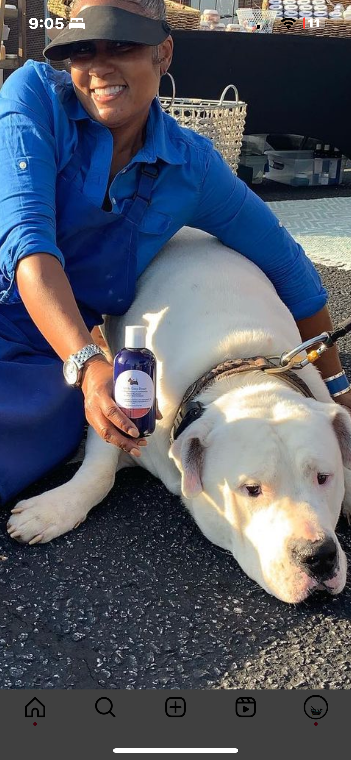 Dirt Be Gone Doggy by Lather Bath Provisions-16oz