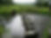 stepping stones.jpg