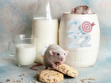 NEW RELEASE: Life is short...but don't short-change your lifestyle (Bonus Episode)