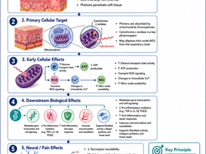 Mechanism of action of low-level laser therapy showing mitochondrial effects, ATP production, inflammation, pain signaling, and tissue repair
