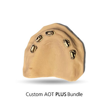 Custom AOT PLUS Bundle Main Web Page image.jpg