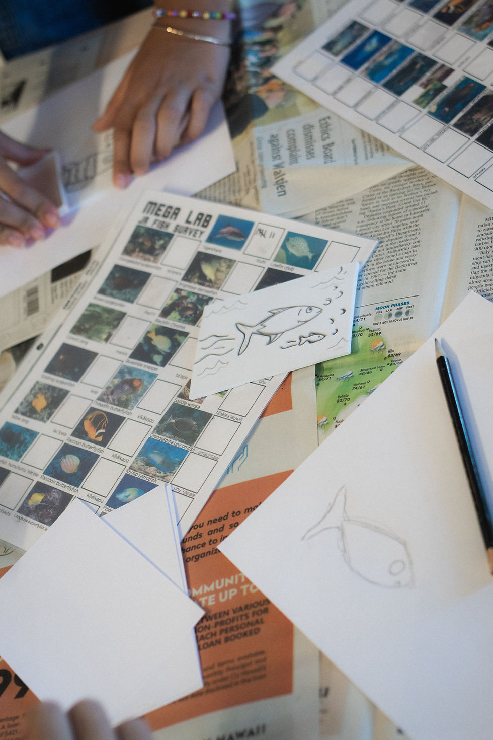 Fish surveys and fist portraits