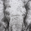 Thumbnail: Drawing of Elephant