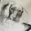 Thumbnail: Drawing of Cute Dachshund